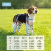 Zapatos Antiberros para Perros de Cuatro Patas para Exteriores de Primavera y Verano con Cubiertas Extendidas para las Patas, Zapatos tipo Arnés Antideslizantes para Mascotas para Perros Bichón y Teddy