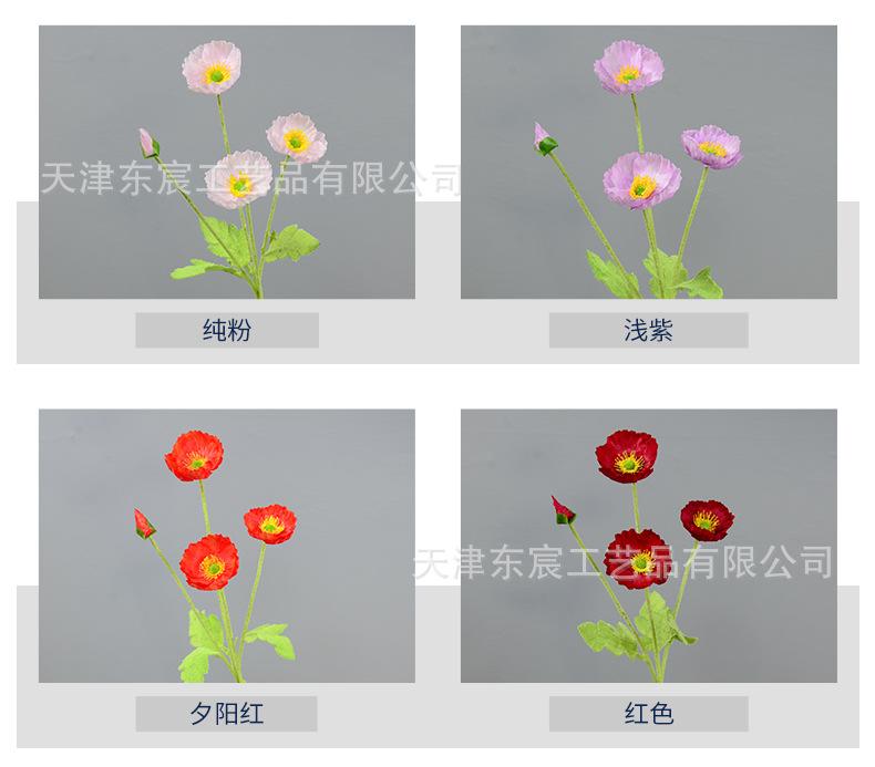 详情_03.jpg
