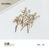 Materiais para Artesanato DIY de Flores Eternas no Atacado, Flores Secas, Frutas Secas, Rodelas de Laranja, Pinhas, Adereços para Fotografia de Flores, Materiais para Artesanato DIY de Jardim de Infância
