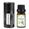Aceite Esencial para Velas Soluble en Aceite, Aceite Esencial Único a Base de Planta de Rosa, Humidificador, Máquina de Aromaterapia, Fragancia de Lavanda para Coche