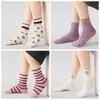 Calcetines Infantiles al por Mayor para Dropshipping 2025 Otoño e Invierno Nuevos Calcetines Cortos de Conejo con Bordes de Algodón Calcetines de Princesa Calcetines para Niñas sin Costuras
