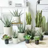 Planta artificial de aloe simulada nórdica, orquídea tigre falsa, suculentas tropicales, decoración para sala de estar interior, adornos para escaparates