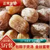 Dátiles Confitados Dorados Seleccionados, Dátiles Confitados Secos, Dátiles Confitados Grandes sin Hueso para Tamales y Sopas, Postres 2.5 kg a Granel
