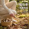 Herramienta para recolectar hongos al por mayor: gancho de doble diente de acero inoxidable para recoger setas al aire libre, resistente a la corrosión, mango largo, no requiere doblarse, rastrillo para setas