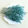 Paquete de Material de Flor Seca Flor Real Planta Frutal Especimen Flor para Velas de Aromaterapia Material Floral Hecho a Mano DIY Bellota Gymnos Rosa