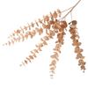 Planta de eucalipto de 5 tenedores de simulación, de plástico suave, dorada, con forma de hoja de dinero, para decoración de bodas, flores y macetas verdes.