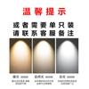 Foco LED para riel de luz comercial, tienda de ropa, centro comercial, sala de exposiciones, foco COB, luz empotrada de techo, luz empotrada para montaje en riel doméstico