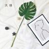 Simulação nórdica de folha de tartaruga, cola artificial, simulação de planta verde, decoração de casamento, acessórios para fotografia de casa Mori, planta verde