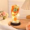 Luz Nocturna de Flor Preservada, Rosas y Girasoles Tejidos a Mano, Adornos Decorativos para Dormitorio, Lámpara de Ambiente, Regalo de Cumpleaños Creativo
