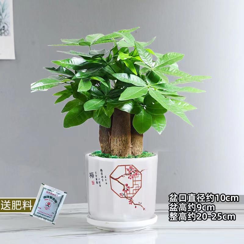 微信图片_20221017214556