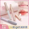 Nuevo Pincel para Labios con Tapa Pequeño Redondo Pincel para Teñir Dizzy Pincel de Maquillaje Mini Pincel Corrector Multifuncional Portátil Pincel para Labios