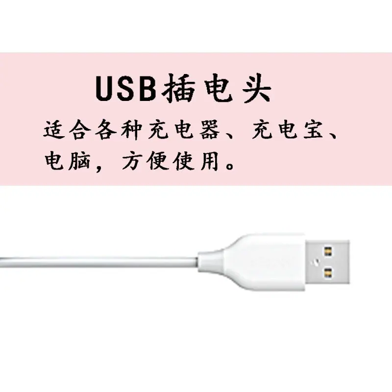 主3