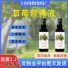 [Crece Más Grande con Solo un Spray] Crecimiento Especial, Aumento, Aumento de Rendimiento, Aumento de Peso, Previene Hojas Amarillas, Promueve la Floración y la Frutificación Solución Nutritiva para Fresas