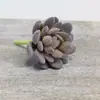 Venda Quente Transfronteiriça Cabeça de Flor Suculenta Simulada DIY Planta Flor Artificial Criativa Estilosa Planta Verde Decoração de Casa Fabricante da Fonte