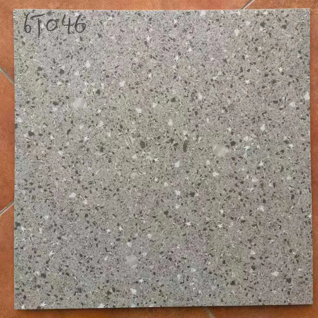 6T046