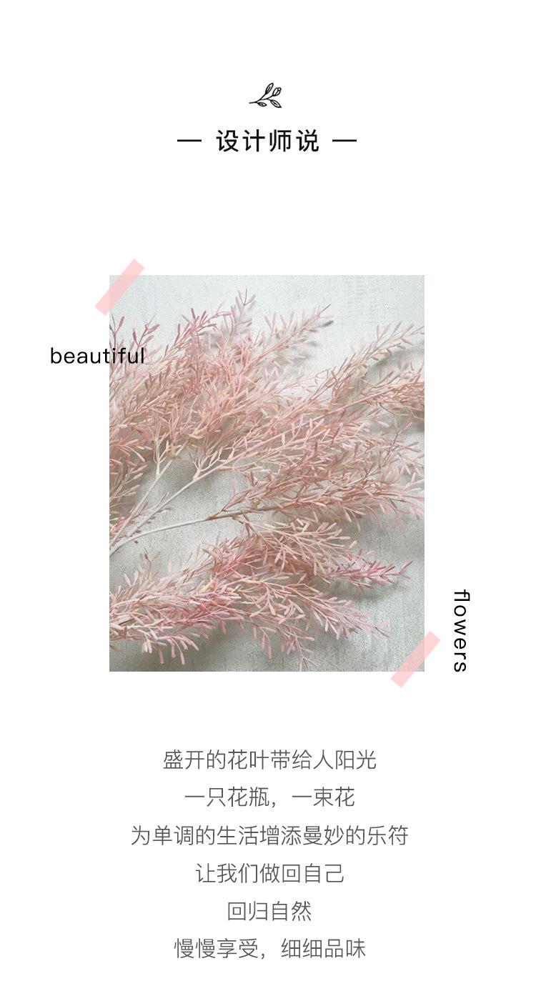 合欢草详情_02