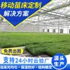 Cultivo de Plántulas de Frutas y Verduras, Siembra de Flores, Semilleros de Invernadero, Semilleros de Jardín, Semilleros Móviles Galvanizados en Caliente