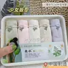 Calcinha feminina Hot Water 5 Boxed Calcinha sem costura Bare Amonia Cotton Calcinha feminina extensível Crotch Lunch Box Calcinhas femininas
