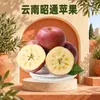 Manzanas Zhaotong de Yunnan Dropshipping Variedades de Zhaotong Temporada Empaque de Cartón Brix 10+ Paquete Familiar Fruta Fresca
