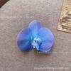 Cabeza de Flor de Phalaenopsis de Película Artificial Impresa en 3D Horquilla para el Cabello de Celebridad de Internet Souvenir de Boda Caja de Dulces de Boda Flores Falsas Decoradas a Mano