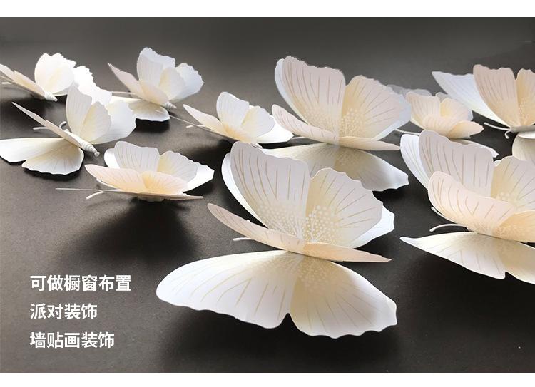 立体蝴蝶.jpg