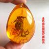 Colgante de Ámbar con Espécimen de Insecto Real Ámbar Insecto Gota de Agua con Forma de Insecto Escorpión Mariposa Abeja Flor Ámbar Transmisión en Vivo Venta al por Mayor