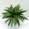 Venda Direta de Plantas Verdes Artificiais, Samambaias, Decorações de Parede, Materiais para Decoração Têxtil, Decoração de Casa no Atacado, Adereços para Fotografia, Folhas Persas para Uso Interno