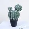 Cactus Pilares de Dragón Simulados Cactus Parásito Planta del Desierto Marroquí Decoración Suave para Paisajismo Modelo Decoración de Proyectos