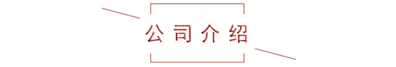 公司介绍