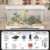 Aquário de Mesa Novo Modelo Paisagismo em Pequena Escala Conjunto Completo Ecológico Transparente Uso Doméstico Sala de Estar Sistema de Filtragem Integrado Filtro de Fundo Aquário