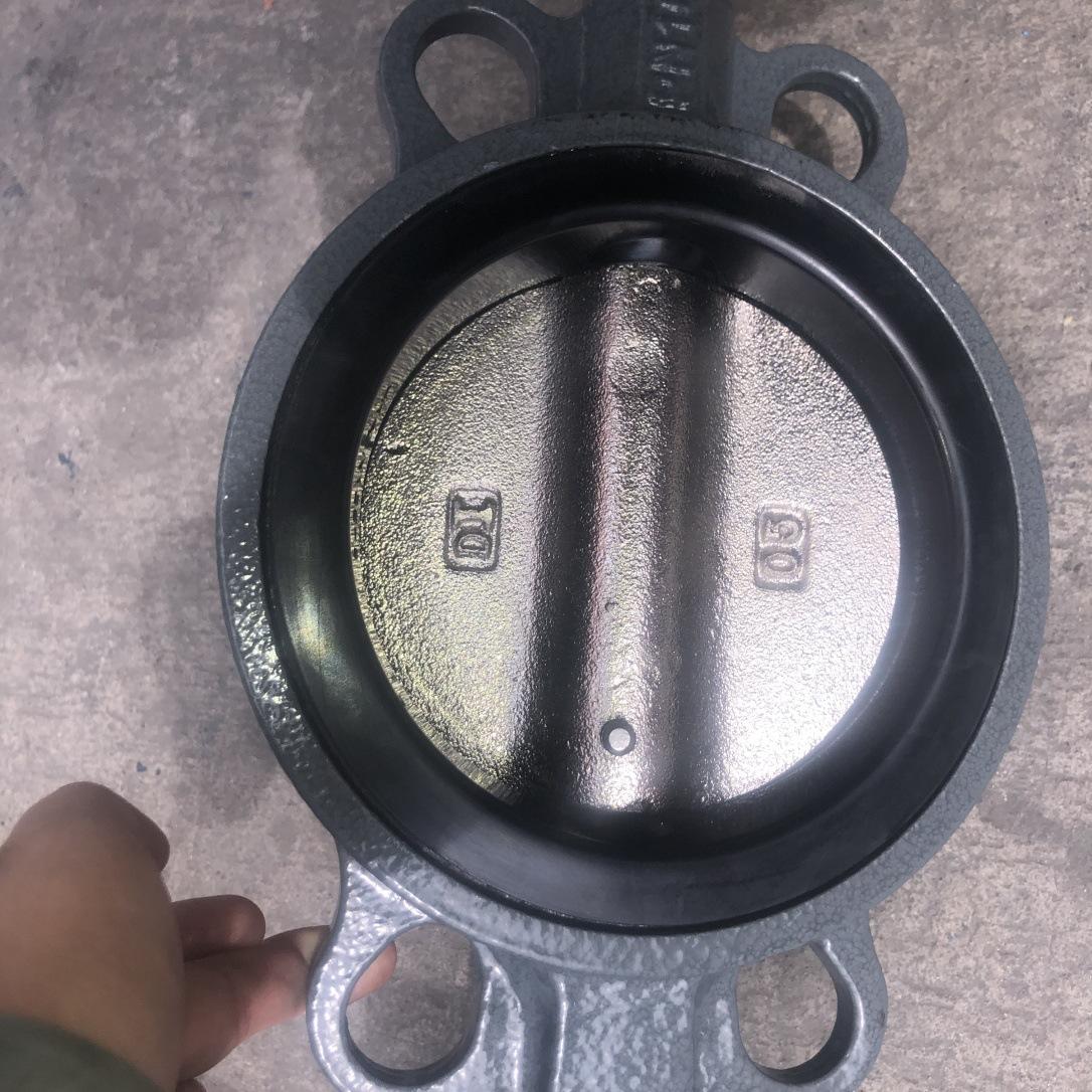 铸钢对夹蝶阀 (20)