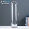 Bambú Dorado Hidropónico Planta en Maceta de Interior para Sala de Estar, Oficina y Decoración del Hogar, Vegetación de Escritorio Fácil de Cuidar