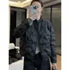 2026 Nueva Moda Chaqueta Acolchada de Algodón con Cuello Alto para Mujer, Cálida de Manga Larga Ajuste Holgado Estilo Coreano Versátil Ligera Corta Chaqueta de Algodón