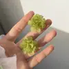 Brincos Simples de Flor Tridimensional Frescos de Verão Super Fada Doces Elegantes Brincos de Celebridade da Internet Mesmo Estilo Brincos da Moda de Rua