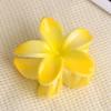 Europeo y Americano Transfronterizo Explosiones Flor de Huevo Pinza de Agarre Vacacional Caliente Lado Pinza para el Cabello Parte Trasera Cabeza Cabello Pinza de Tiburón Accesorios para el Cabello