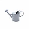 Kettle rociador de flores artificiales de 8 cm casa de niños mesa de arena botella rociadora de flores en miniatura herramientas rociador de jardinería ciencia y educación