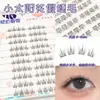 10 fileiras de 10 fileiras de cílios postiços de ponta de alta capacidade desejo puro luar trilogia preguiçosa puro selvagem diabozinho mix