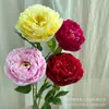 Flores Artificiales de Peonía Estilo Europeo para Sala de Estar Decoración del Hogar, Arreglos Florales, Fondos de Boda, Decoraciones de Flores Artificiales, Ramo de Flores Secas al por Mayor
