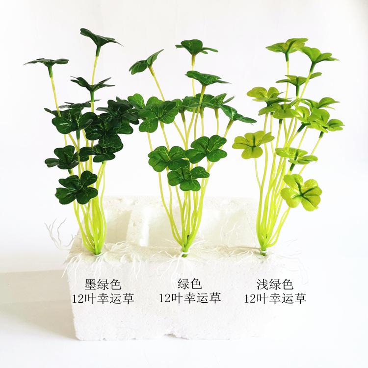 幸运草合影2.jpg