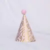 Nuevo sombrero de fiesta de cumpleaños de bola de lentejuelas de felpa en polvo coreano suministros de vestido para bebé y niños sombrero de cumpleaños