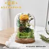 61º Día del Niño DIY Flor Eterna Tapa de Cristal Hecho a Mano Materiales de Flores Secas Kit Jardín de Infancia Construcción de Equipo Padre-Hijo Taller de Arreglos Florales