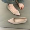 Zapatos de Mujer de Boca Baja Punta Afilada Altura Interior 2025 Primavera y Otoño Estilo Caliente Nuevo Estilo Francés Elegantes con Falda Zapatos de Mujer para Ir al Trabajo