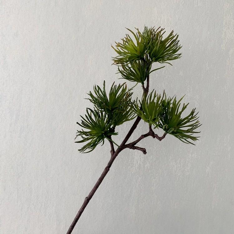 QQ图片20200315125010