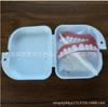 Diycos Nuevos Dientes Completos Superiores e Inferiores, Nuevas Calcomanías Dentales de Cobertura Total, Decoración de Aparatos Dentales, Decoración de Escenario, Cosplay