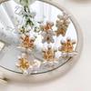 Pérola Grab Clip Flor Feminina Pequeno Hairpin Coreano Cabelo Grab Side Bangs Clip Cocar Metal Hairpin Atacado