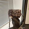 Bolsa pequena de primavera bolsa feminina 2024 nova moda estilo coreano moda popular mini bolsa de cambridge bolsa de ombro crossbody
