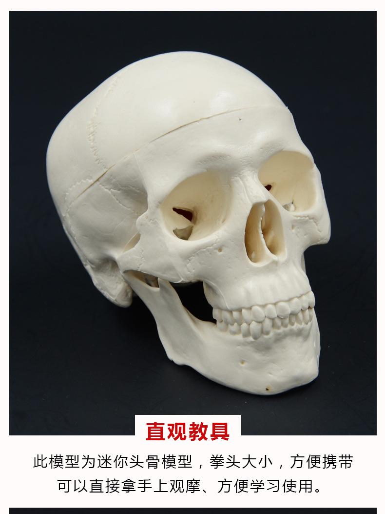描述页_08.jpg