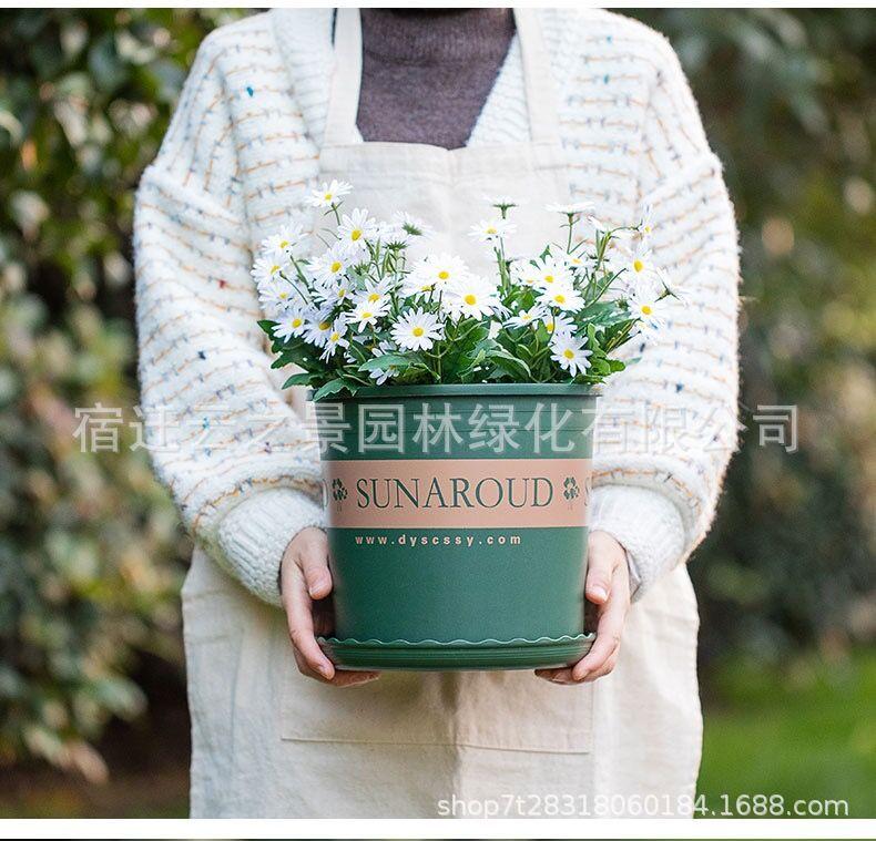 详细19.jpg