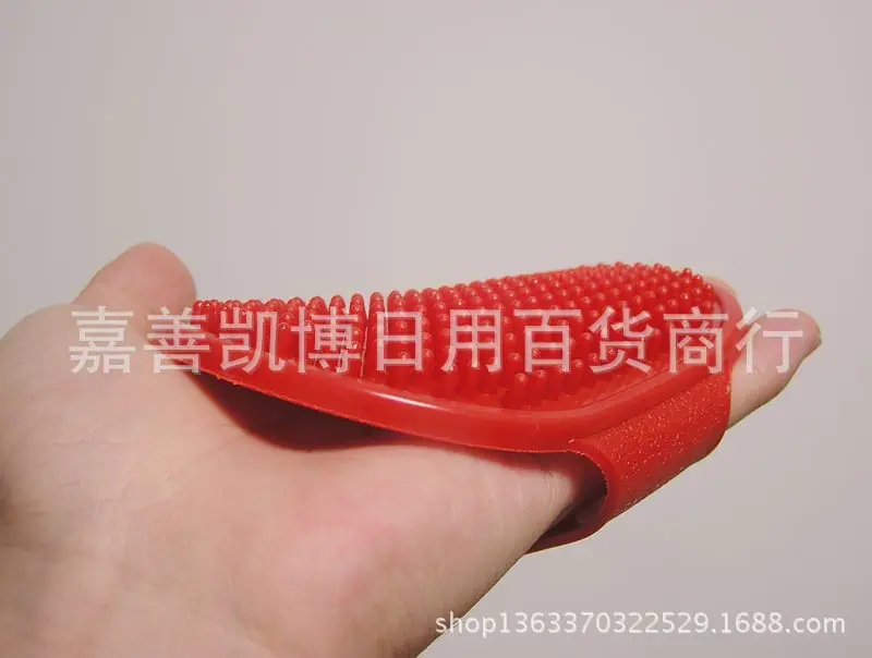 P1010038
