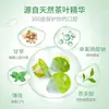 Teaplus Enjuague Bucal de Té Desechable Gelatina Refrescante de Té para Aliento Fresco Paquete Grande para Viaje Fragancia Suave y Duradera